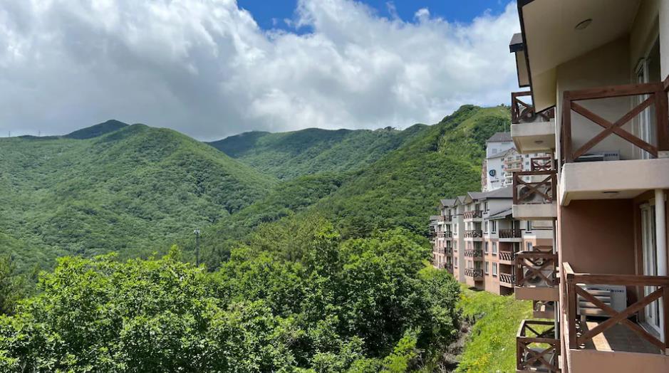 태백 오투리조트 이미지 5