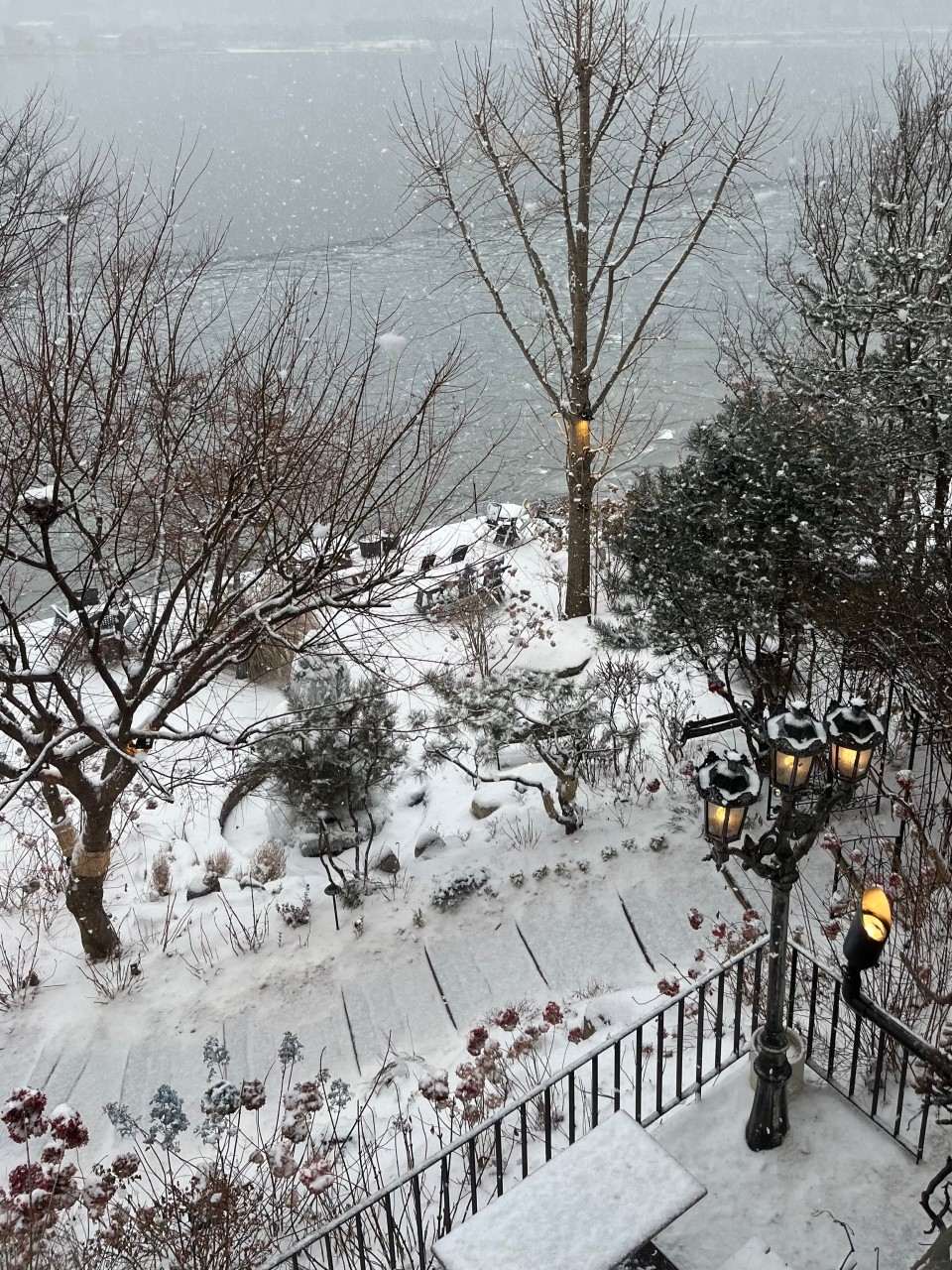 카페 대너리스 이미지 7