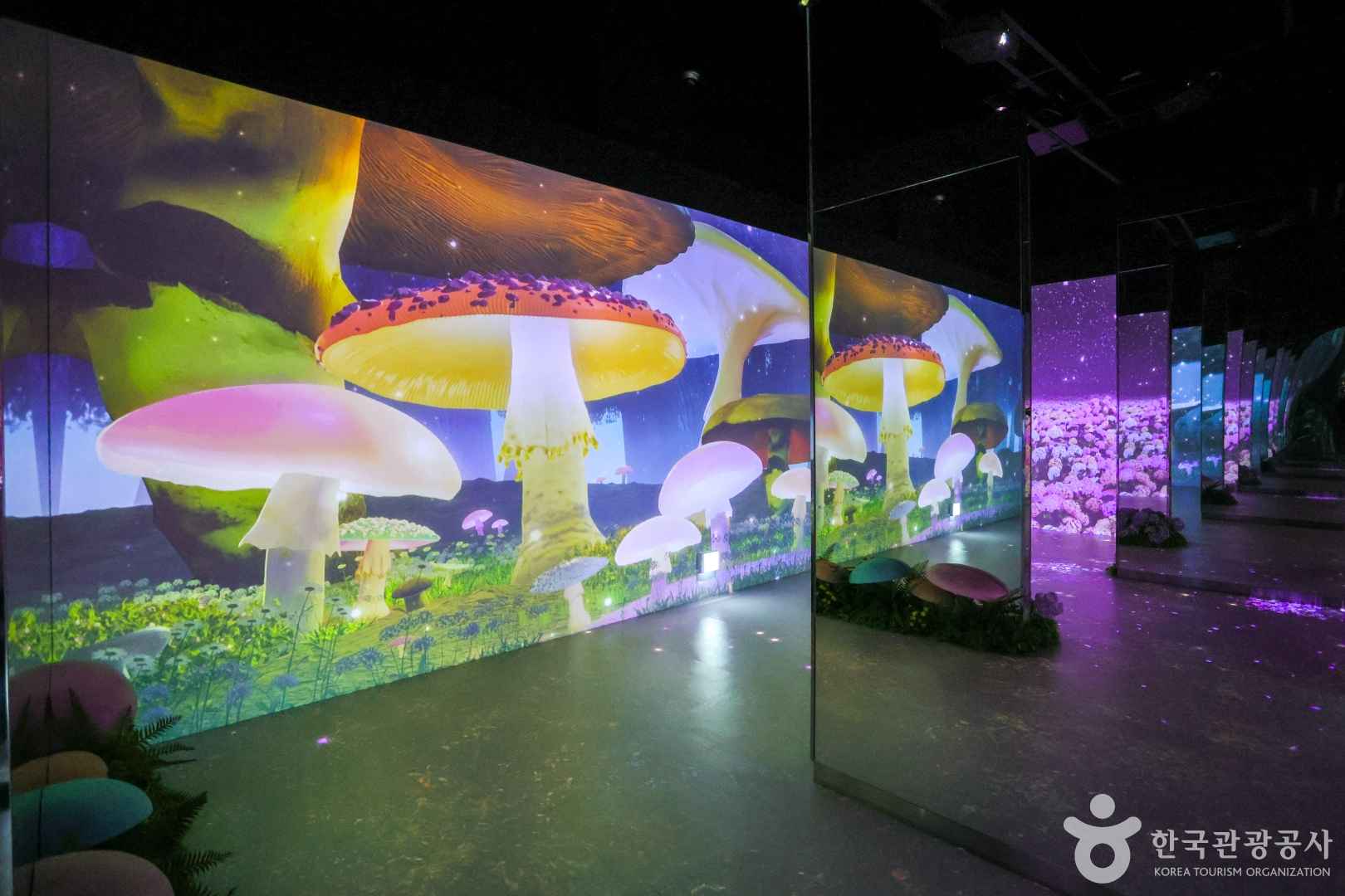 부산 태종대 오션플라잉테마파크 카페 이미지 5