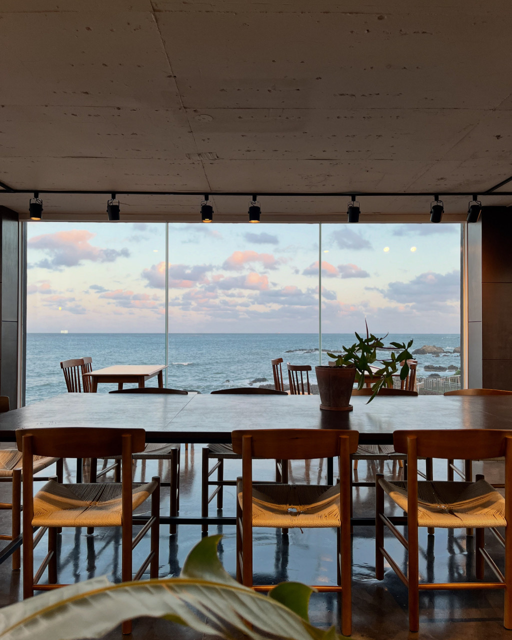 리투커피바 이미지 6