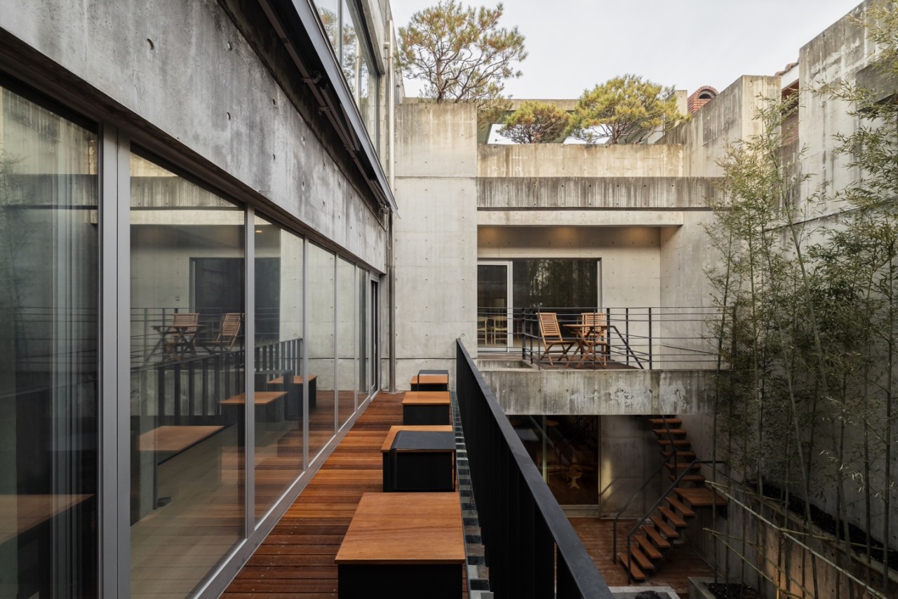 새라울 이미지 6