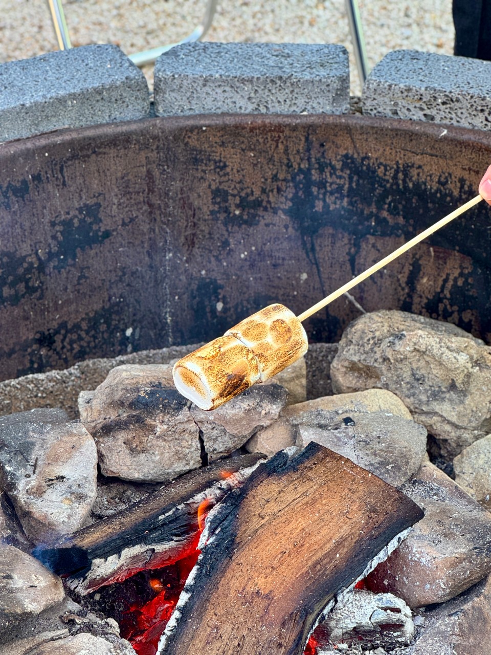 카페지새울 이미지 7