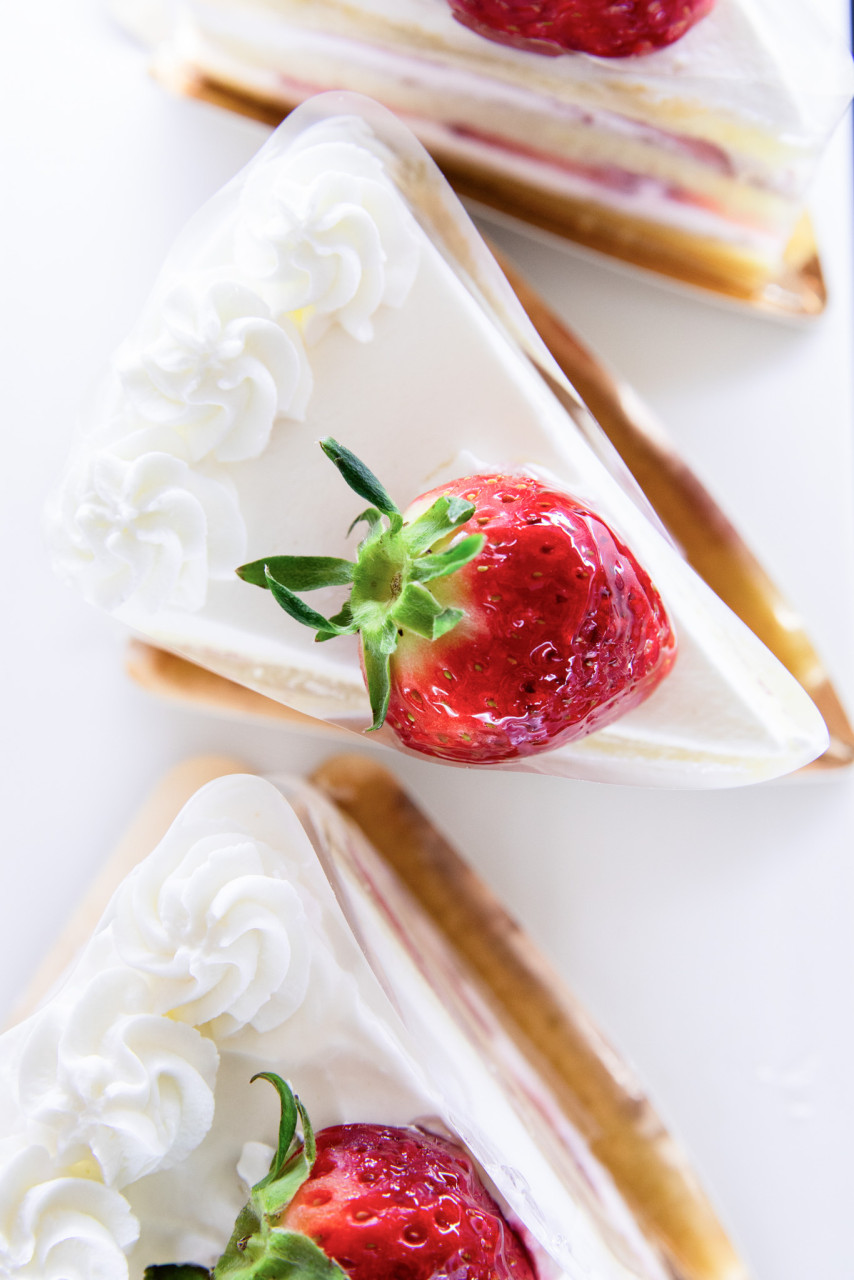 하늘물빛정원 식물원카페 이미지 4