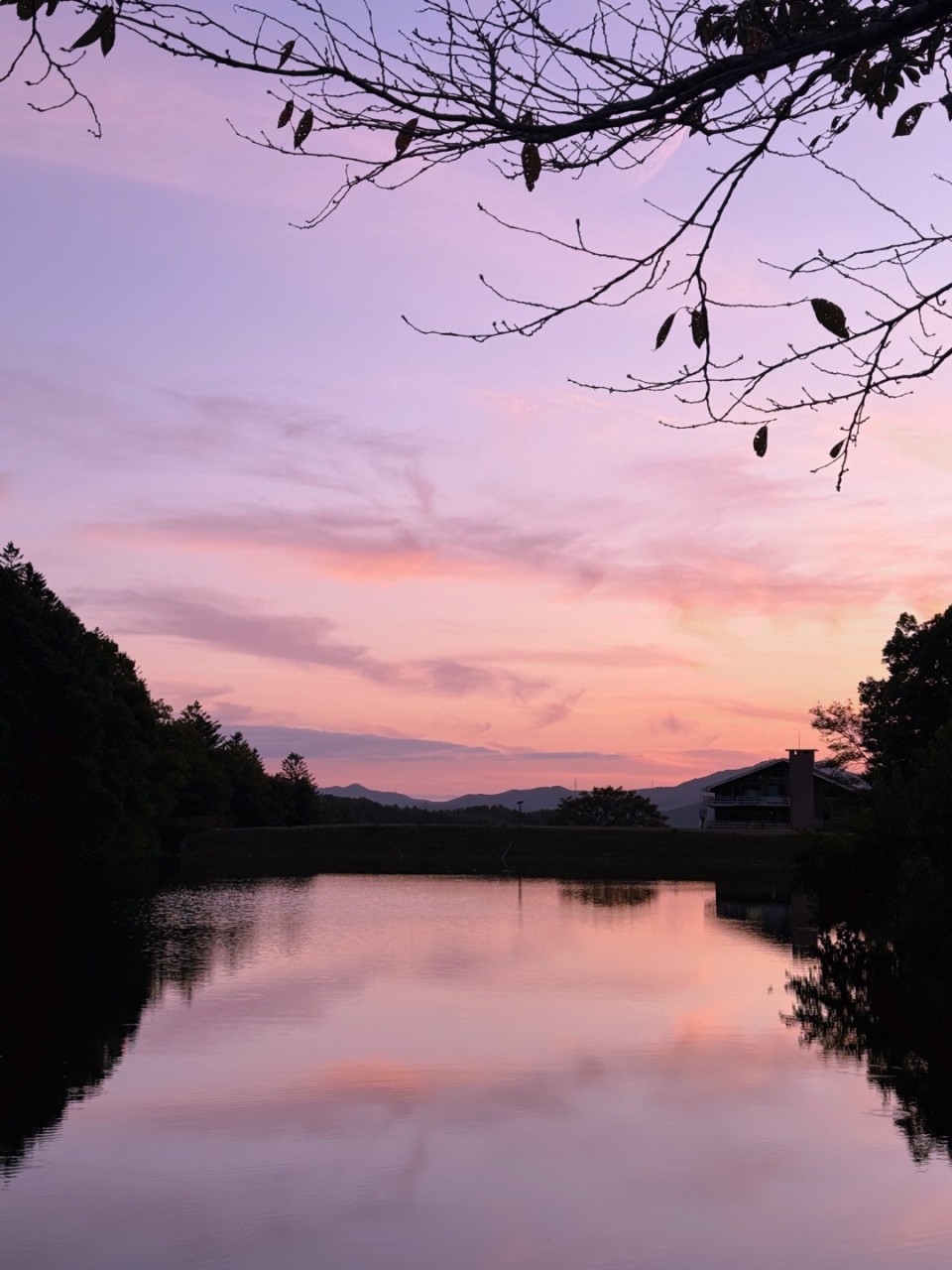 알루엣베이커리 이미지 2