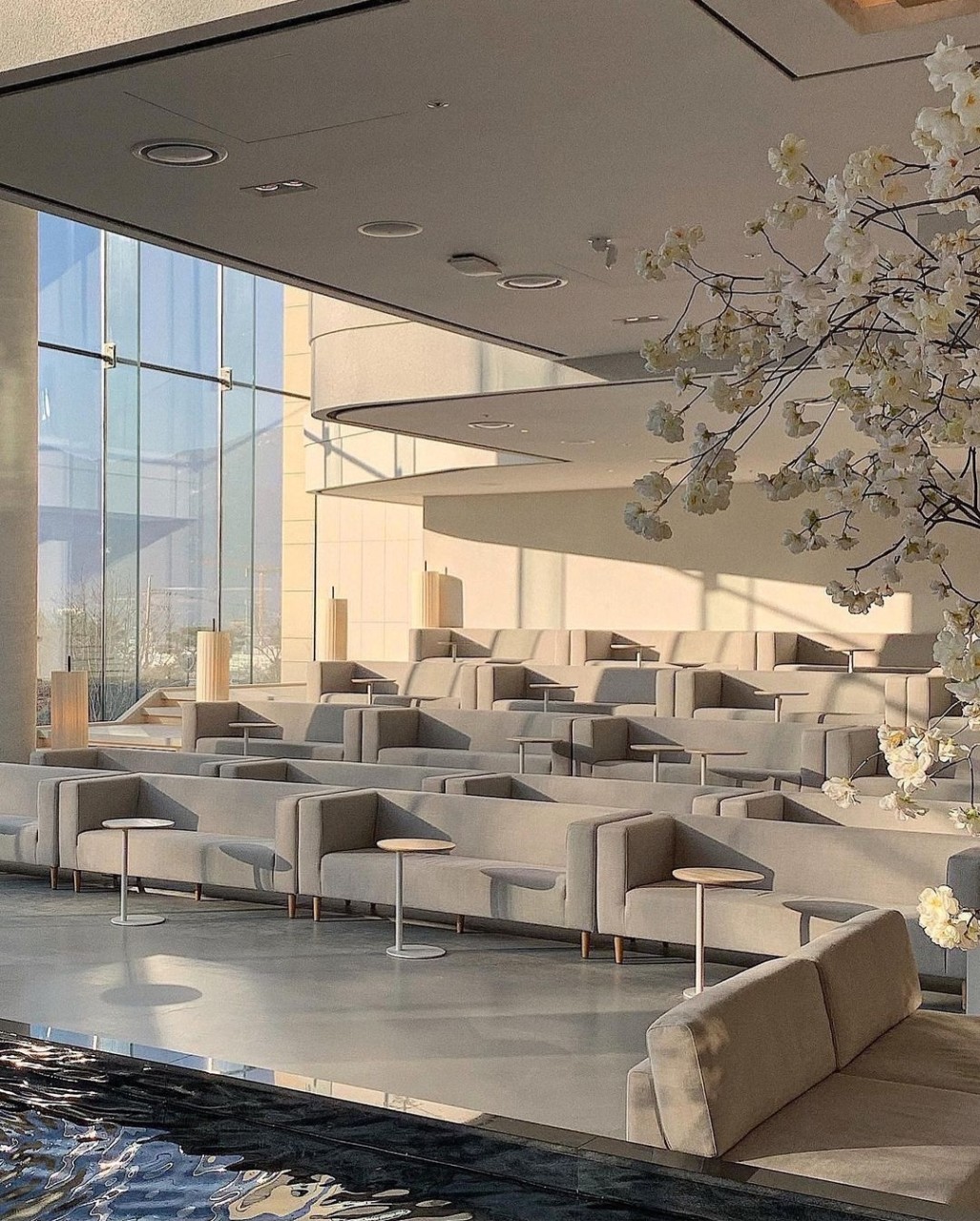 아나키아 이미지 3