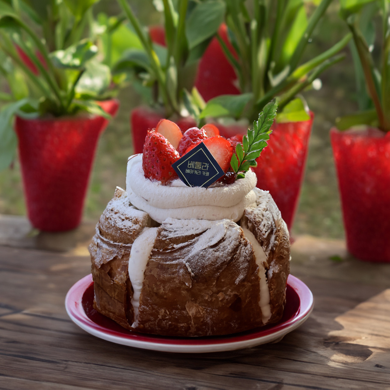 베툴라 이미지 4