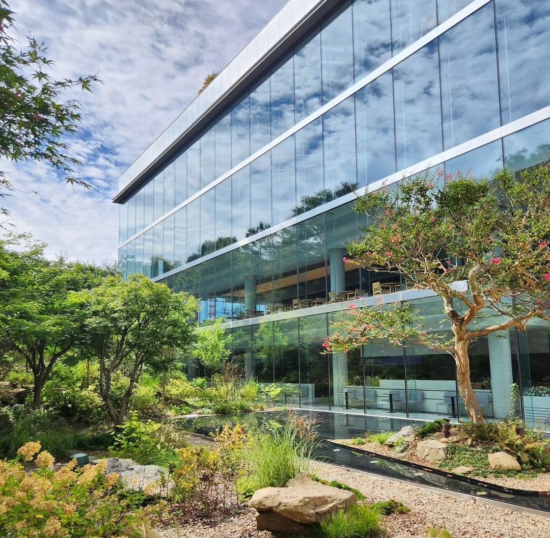 아나키아 이미지 8