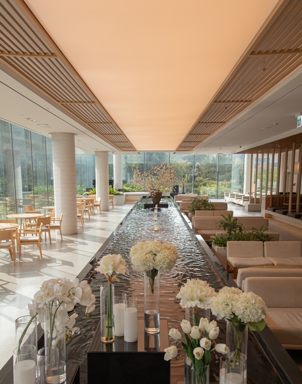 아나키아 이미지 1