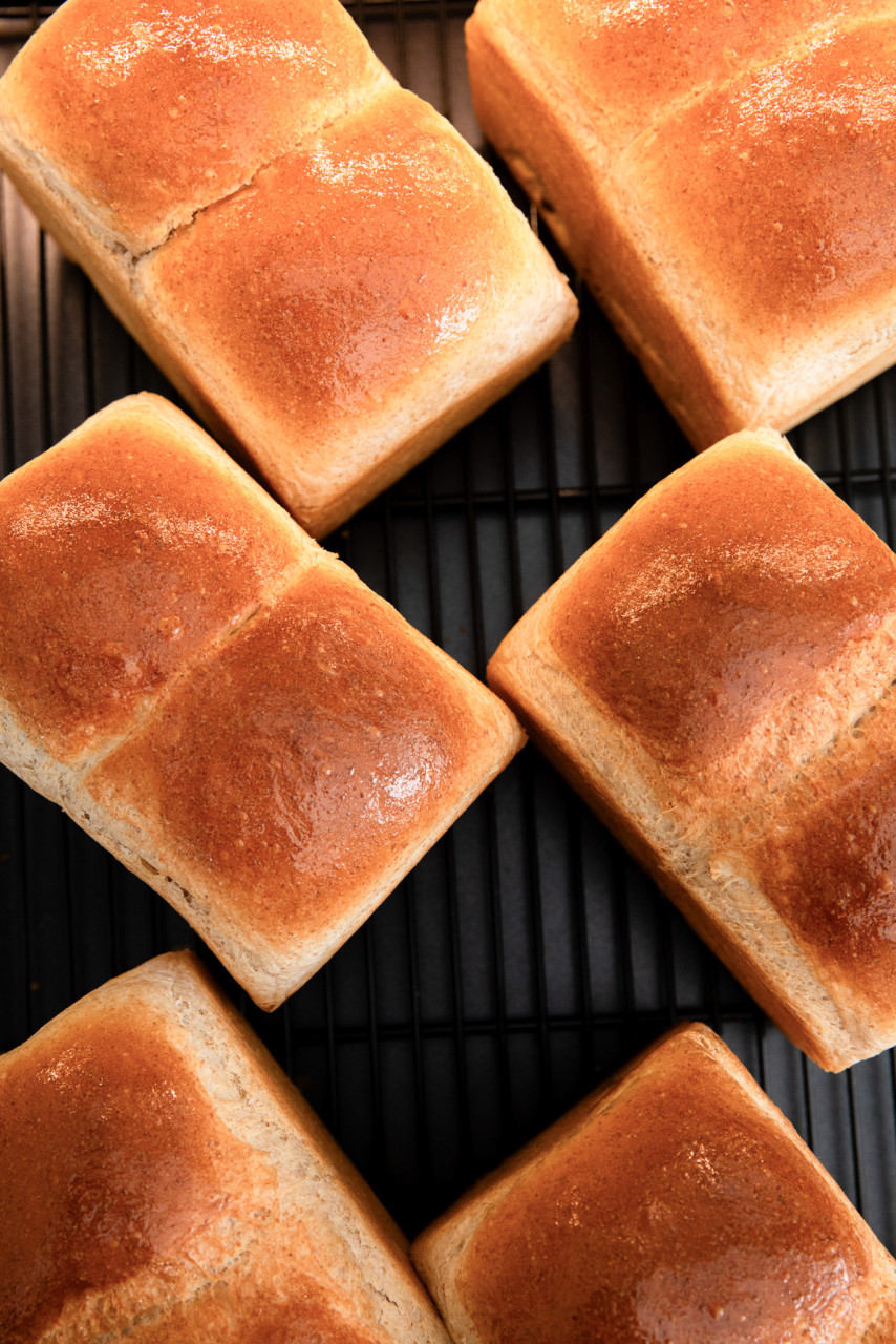 하늘물빛정원 식물원카페 이미지 5