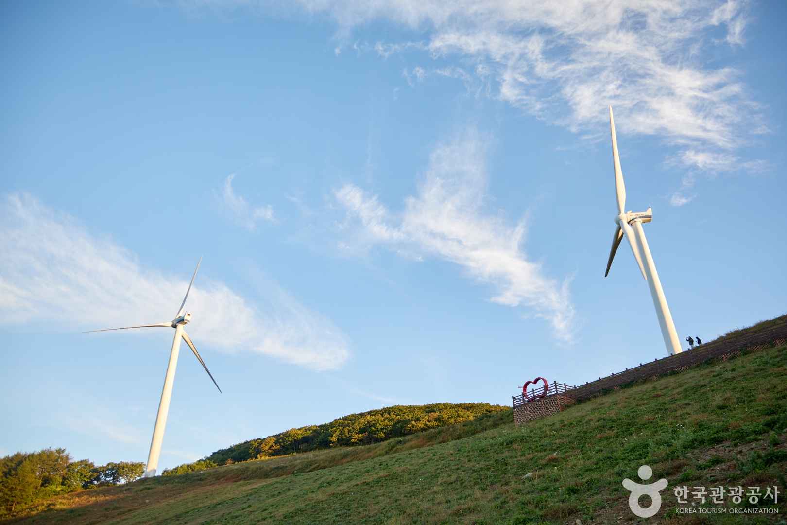 평창 육백마지기 무료차박 이미지 4