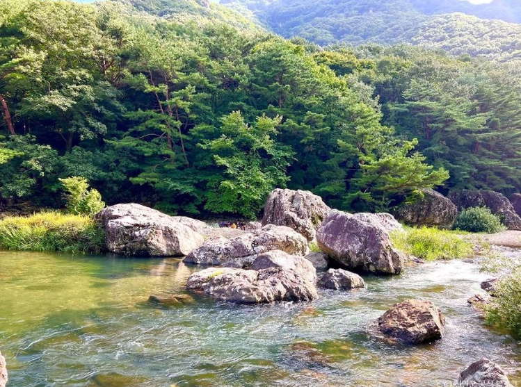 진안 운일암 반일암 계곡 무료캠핑 이미지 4