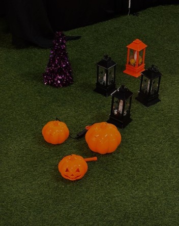 춘천신촌캠프장 이미지 5