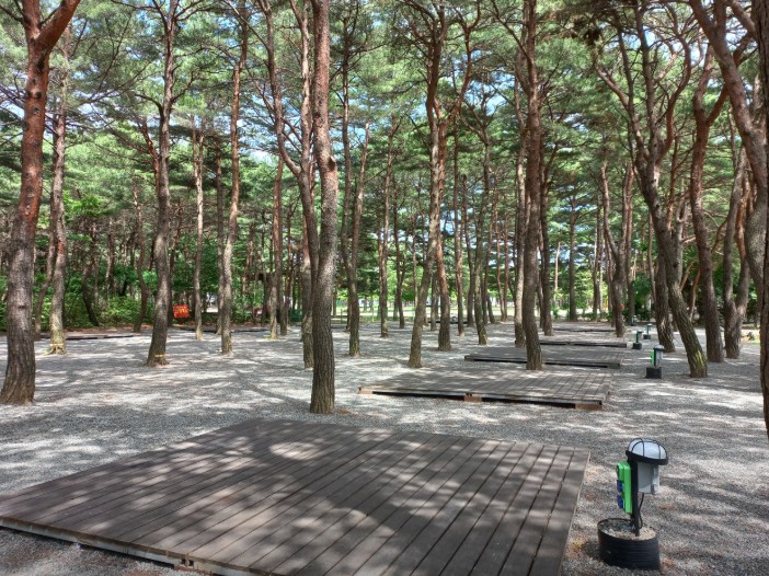 양양 솔바다 캠핑장 이미지 4