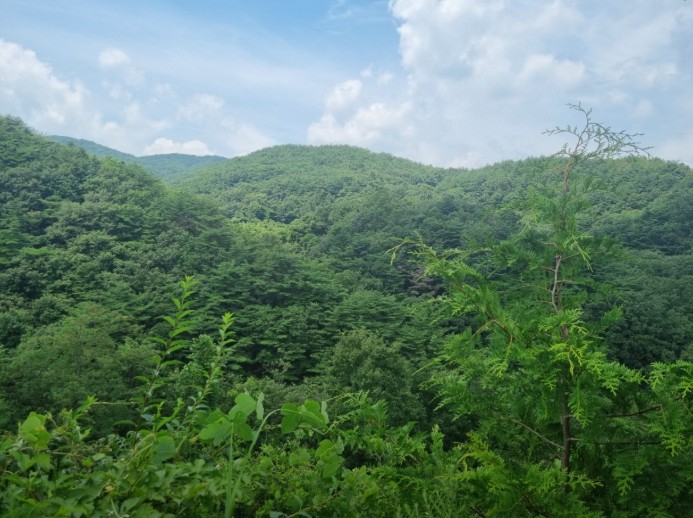 토함산 마이웨이야영장 이미지 1