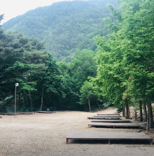 인제 내린천솔밭힐링캠핑장 이미지 3