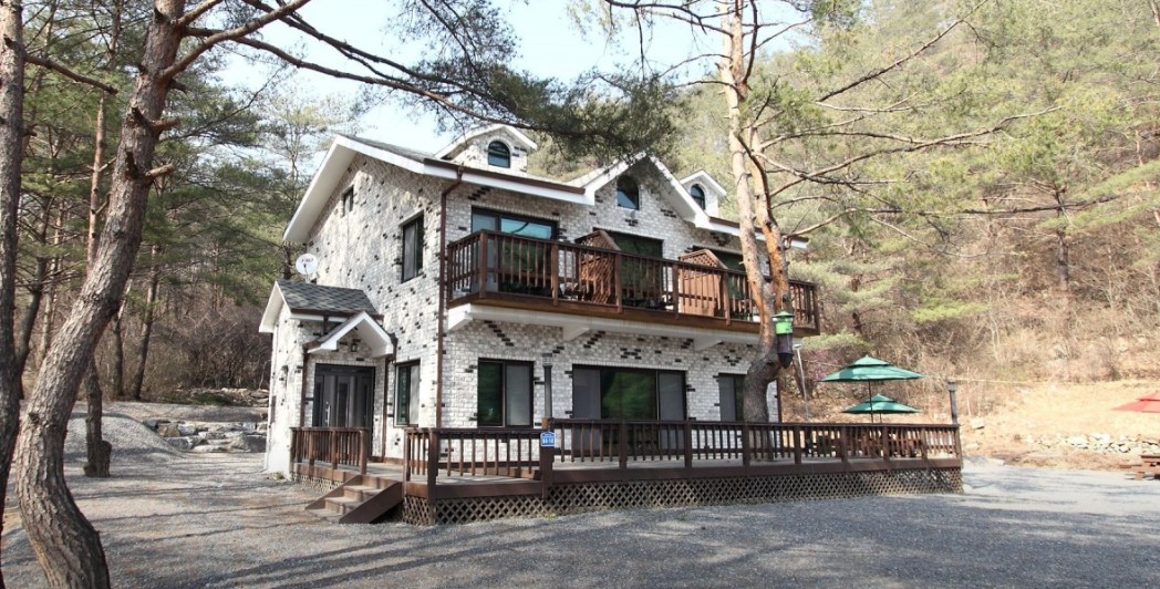 영월 소나무와계곡 이미지 1