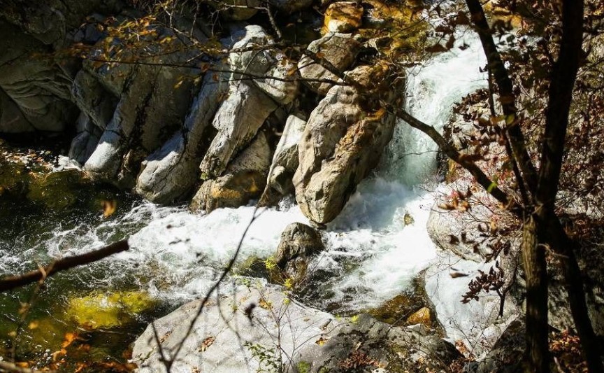 가리왕산자연휴양림오토캠프장 이미지 4