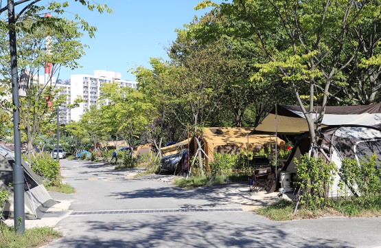 초안산캠핑장 이미지 4