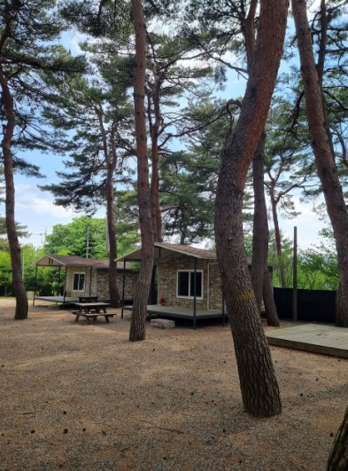 양양 바다캠핑장 이미지 4