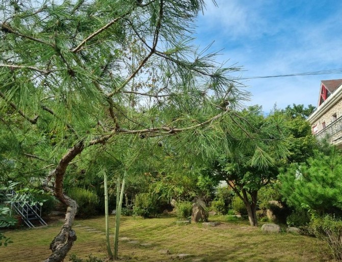 아름드리 캠핑장 이미지 2