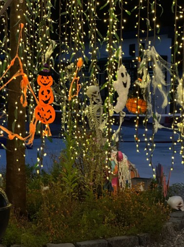 춘천신촌캠프장 이미지 1