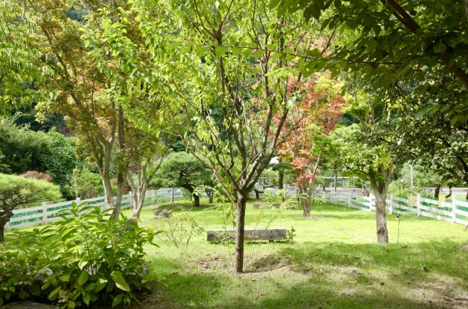 대구 라운드힐905 이미지 8