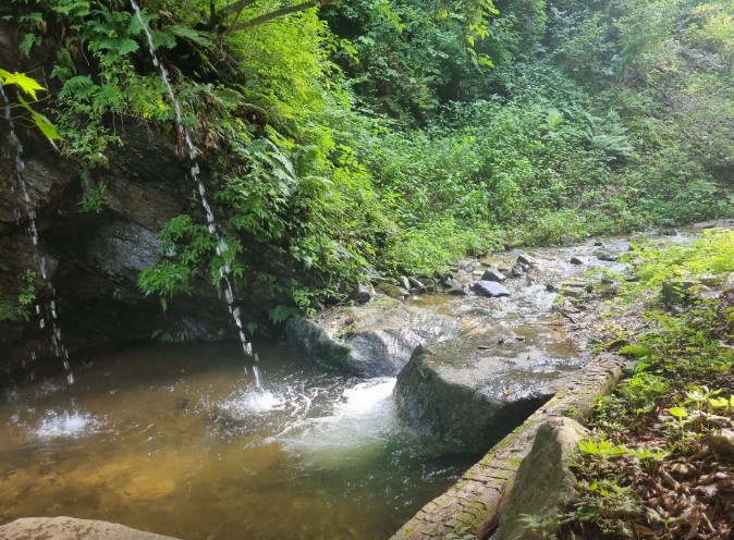 에코밸리오토캠핑장 이미지 2