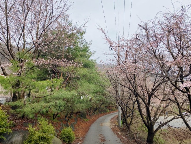 풍성채 캠핑장 이미지 1