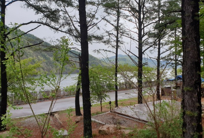 산소파크 글램핑 청송오토캠핑장 이미지 8