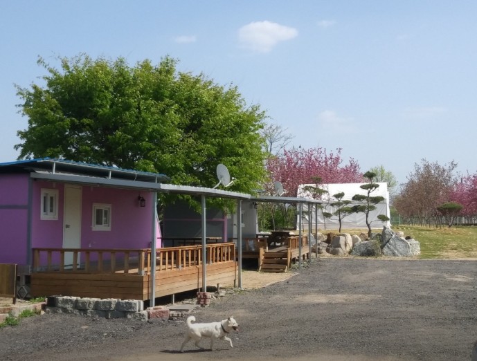 춘천 호반 캠핑장 & 글램핑 카라반 이미지 4