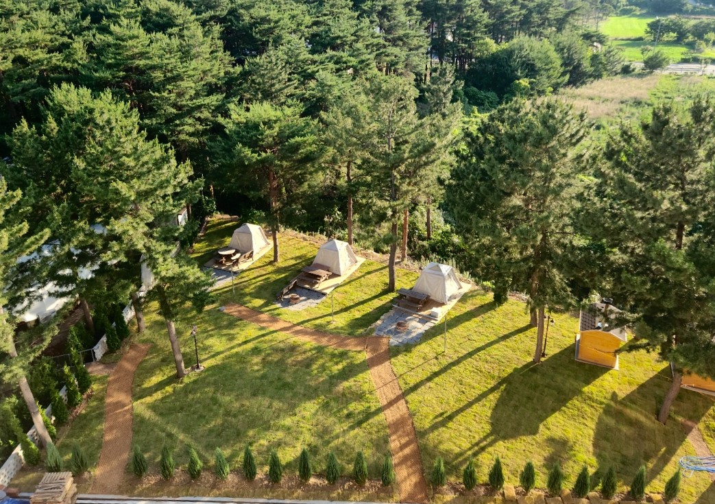 양양 트리플펜션&글램핑 이미지 9