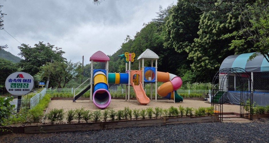 영월 법흥계곡 숲속의 아침 오토캠핑 이미지 3