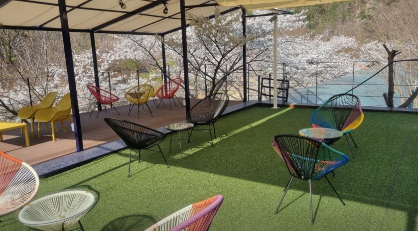 경주 그린하우스캠핑장 이미지 3