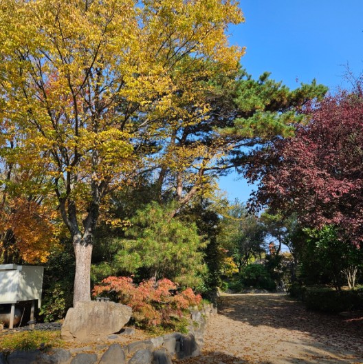 무릉관광농원 이미지 5