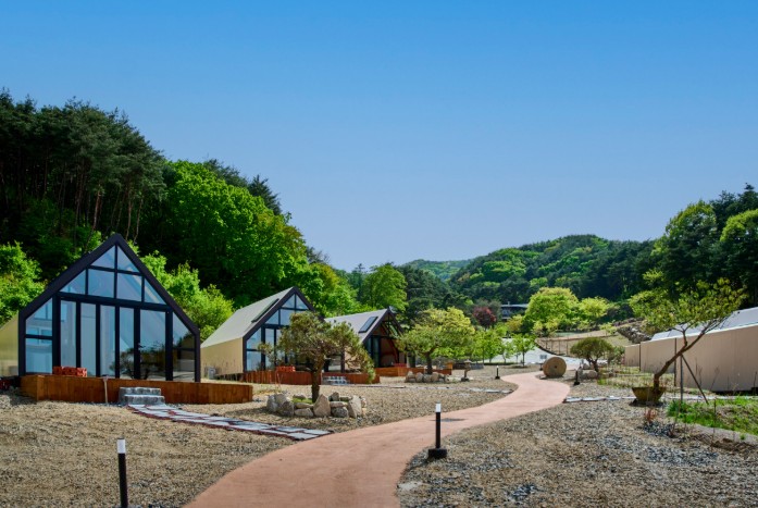 트리풀 이미지 3