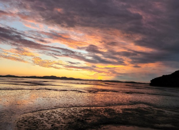 검디관광농원 캠핑장 이미지 7