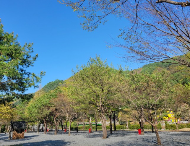 영월 청산캠프 이미지 5