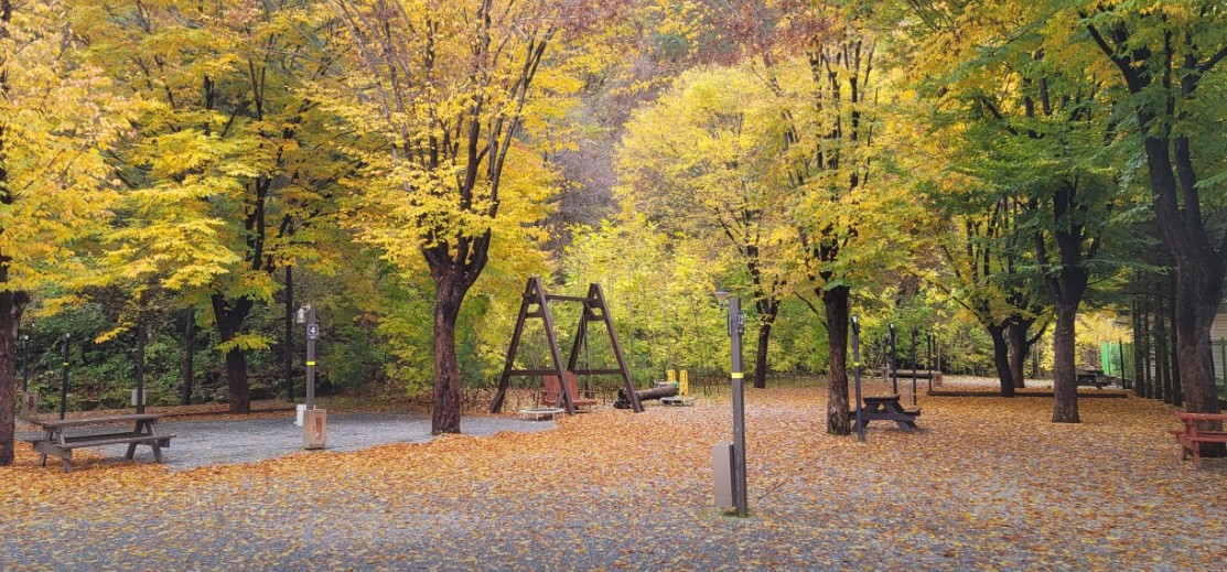 영월 가자 캠핑장 이미지 7