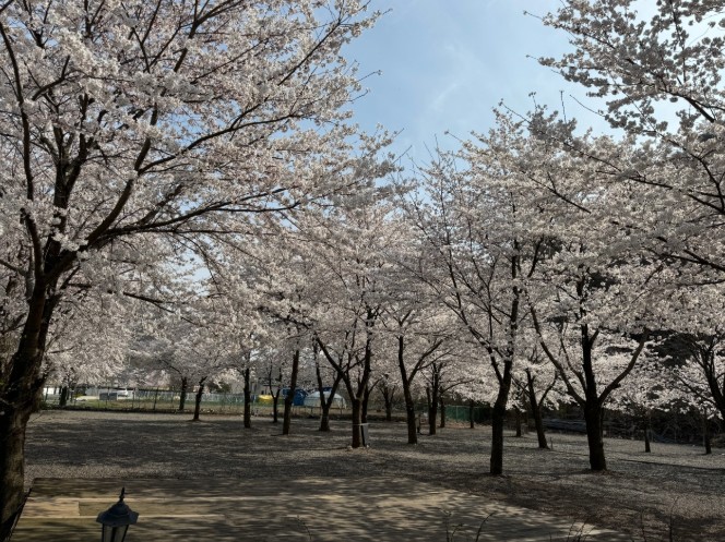 경주산내 반딧불이 오토캠핑장 이미지 2
