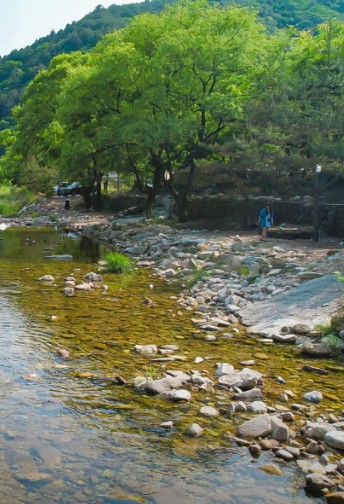 영월 상우농장캠핑장 이미지 1