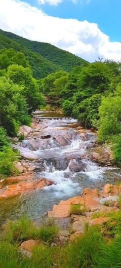 전원일기펜션오토캠핑장 이미지 3