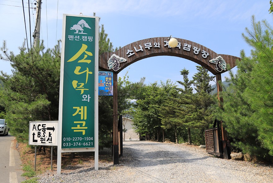 영월 소나무와계곡 이미지 6