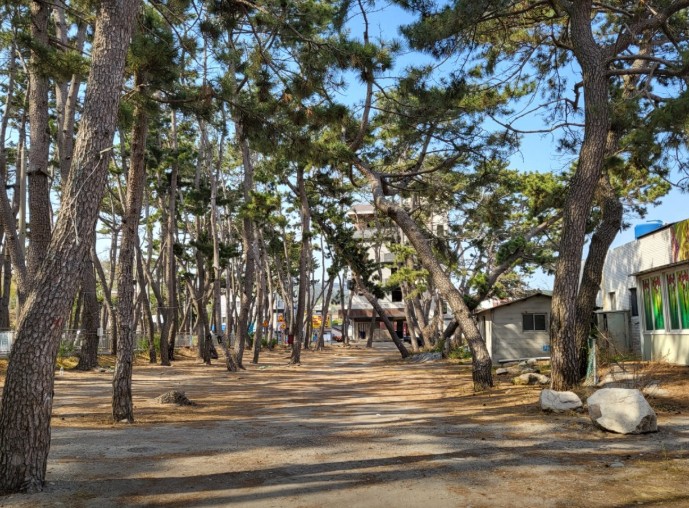 송림오토캠핑장 이미지 3