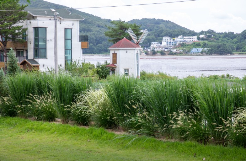 덕풍계곡 캠핑장 이미지 7