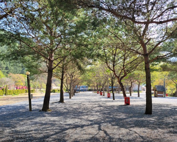 영월 청산캠프 이미지 3