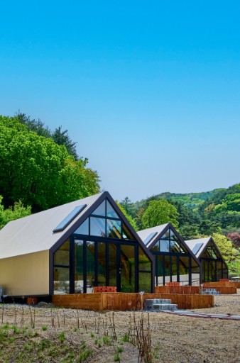 트리풀 이미지 4