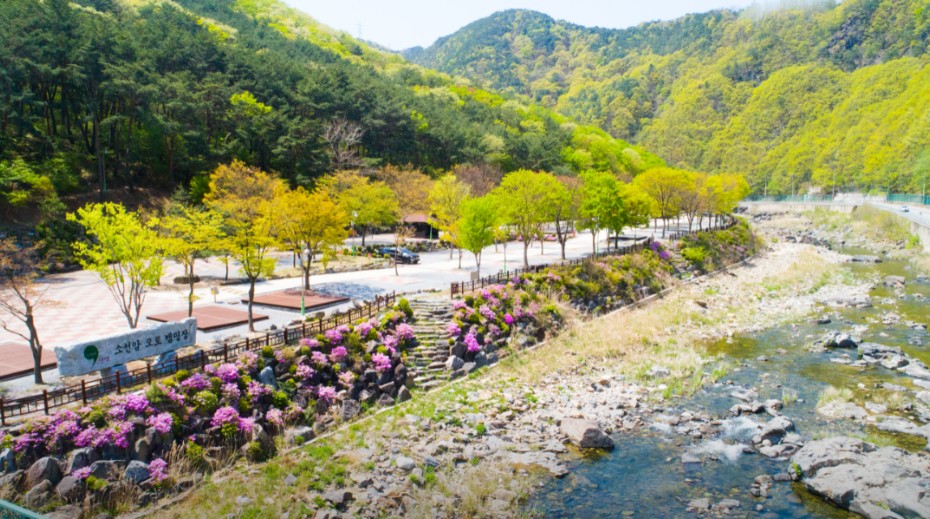 소선암오토캠핑장 이미지 2