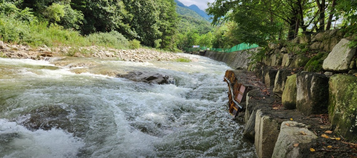 포천 도마치캠핑장 이미지 5
