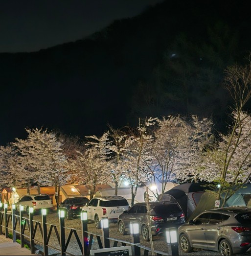 오솔길오토캠핑장 이미지 1