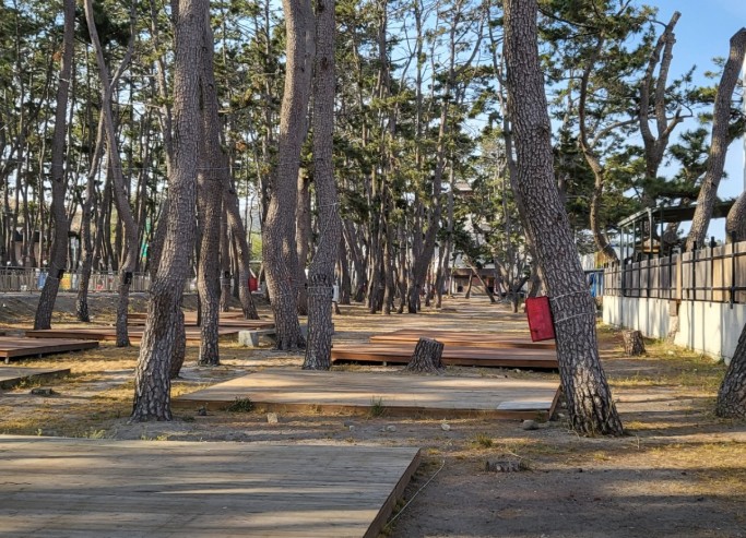 송림오토캠핑장 이미지 4